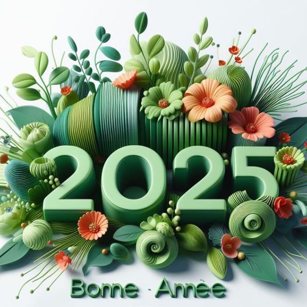 Bonne et heureuse année 2025 !